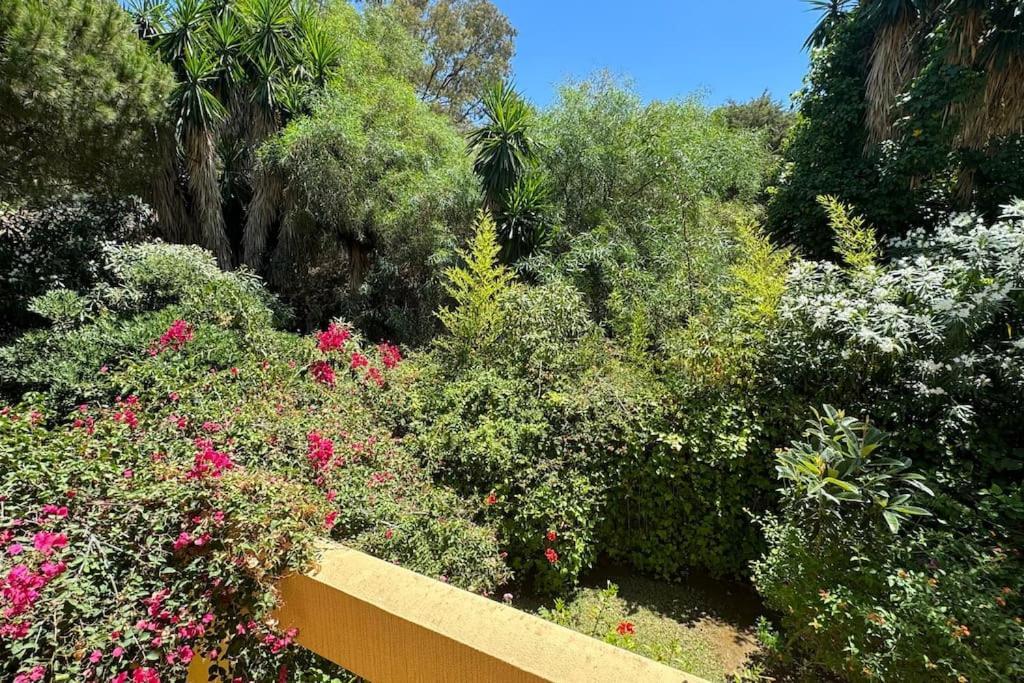 Vacaciones En Park Apartamento *